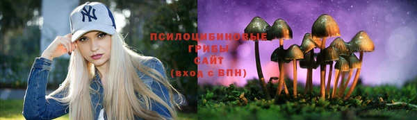 прущая мука Надым
