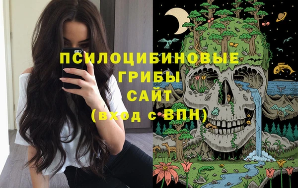 прущая мука Надым