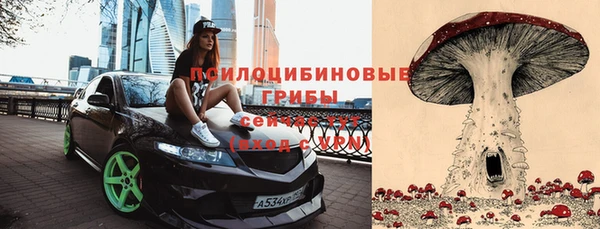 ECSTASY Навашино